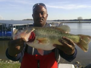 MAHH Member Big Fish in BFL